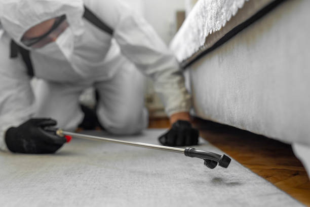 Professional Termite Control technician working in Bright, IN
