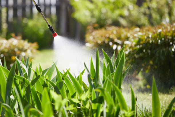 24/7 Emergency Termite Control experts in Bright, IN